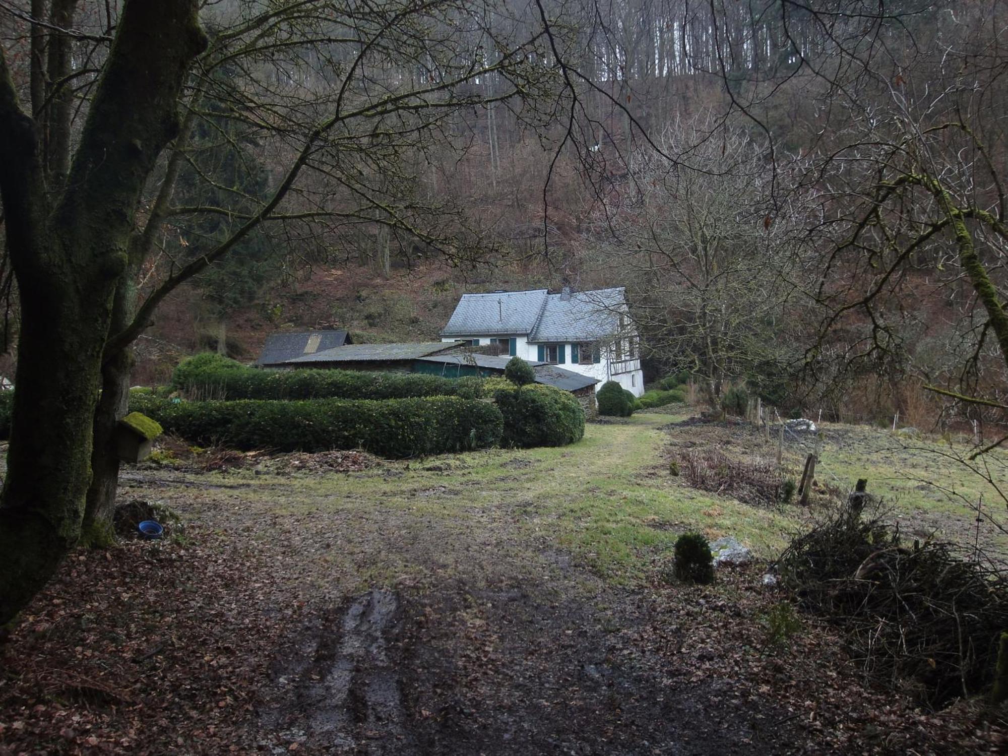 Holiday Home In Kleinich With Sauna Dış mekan fotoğraf